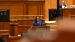 Liderii POT refuză să mai meargă la consultările de la Cotroceni în urma ridicării lui Călin Georgescu