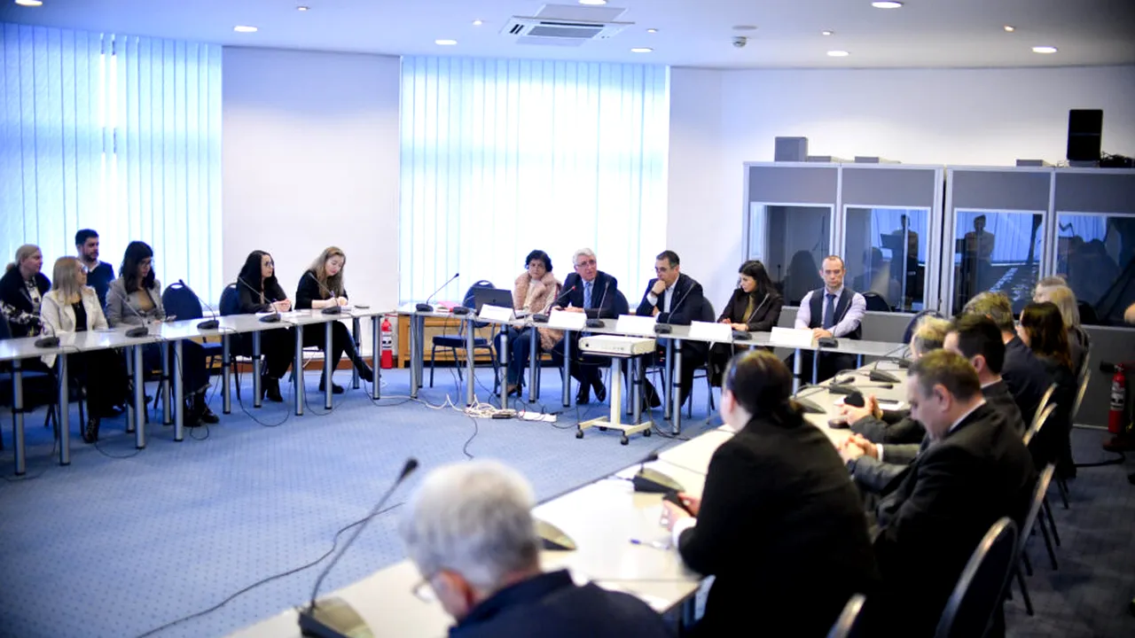 INS a lansat o investiție majoră în digitalizarea statisticii oficiale, în parteneriat cu ADR. Care sunt țintele proiectului DISTINCT
