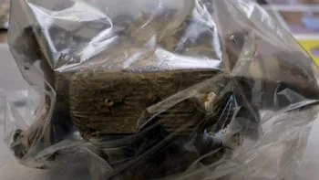 NEWS ALERT Resturi de dronă, descoperite pe o plajă din Mamaia în apropierea unui hotel