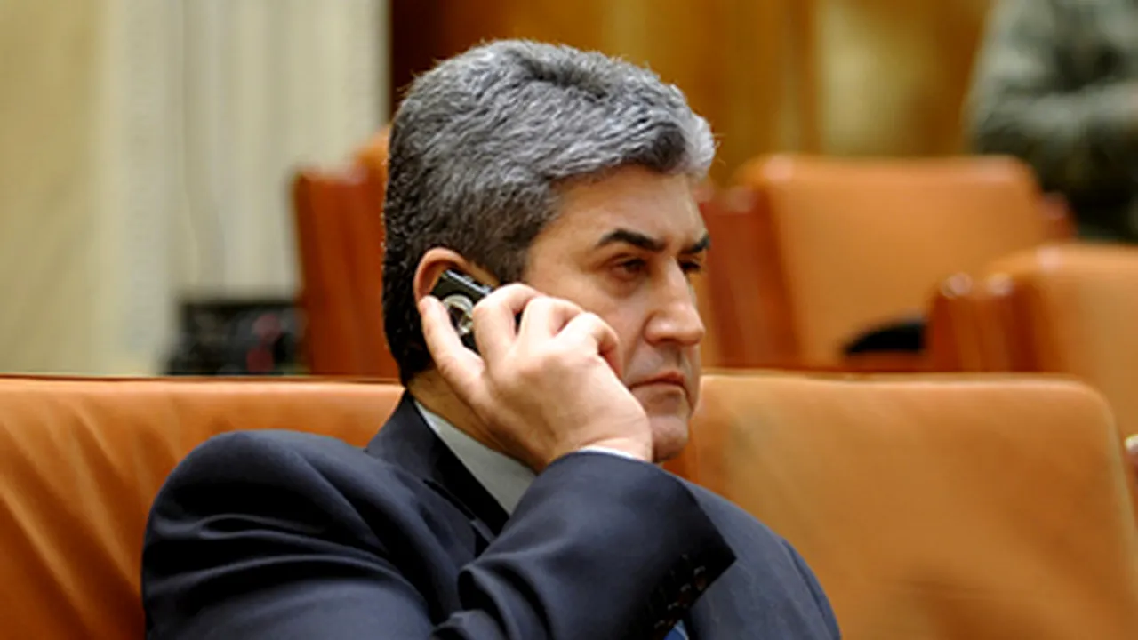 Romanian Independent Lawmakers Group To Vote For Draft 2010 State Budget