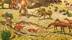 DESCOPERIRE unicat în Europa: Cranii de calichotherium şi tigri cu colţi sabie din era Miocenului, găsite în Vaslui