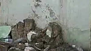 Doi adolescenţi, răniţi de un zid care s-a prăbuşit peste ei