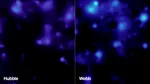Noua hartă James Webb arată cum este distribuită materia întunecată în univers