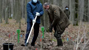 Preşedintele Klaus Iohannis va participa la prima acţiune din cadrul campaniei de împădurire în zona deşertificată