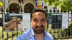 Instructor canin: Ana Oros ar fi putut fi atacată de câini de luptă. Tipologia unui câine de atac