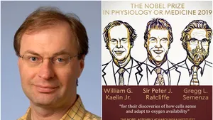 INTERVIU Mircea Ivan, profesorul român cu rol important în obţinerea premiului Nobel pentru medicină 2019: Învăţământ medical de vârf fără finanţare este greu de imaginat în secolul XXI