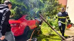 Furtuna a făcut prăpăd în Iași. Un copac s-a prăbușit peste un autoturism