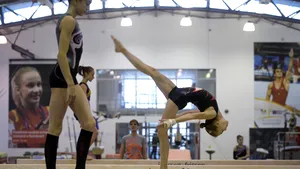 UPDATE Poliţiştii ridică acte de la Comitetul Olimpic, într-un dosar ce vizează echipamentele sportivilor de la Rio 