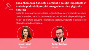 Plafonarea prețului energiei electrice și gazelor naturale: instanța decide că prevederile legale trebuie interpretate în favoarea consumatorilor