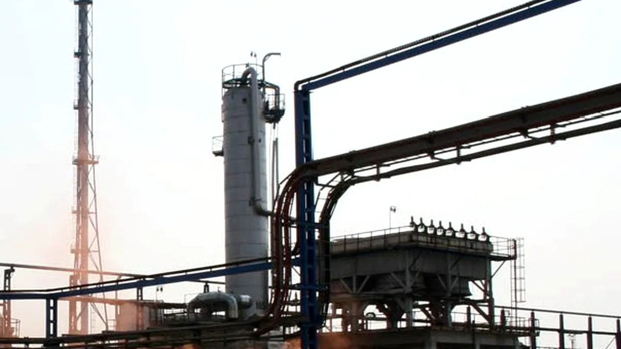 Curtea Constituţională va analiza tardivitatea aprobării legii privind acordarea unor facilităţi SC Petromidia
