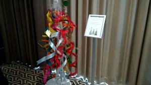 Festivalul „Brazilor de Crăciun”: Elevi defavorizaţi, sprijiniţi să participe la programe educative