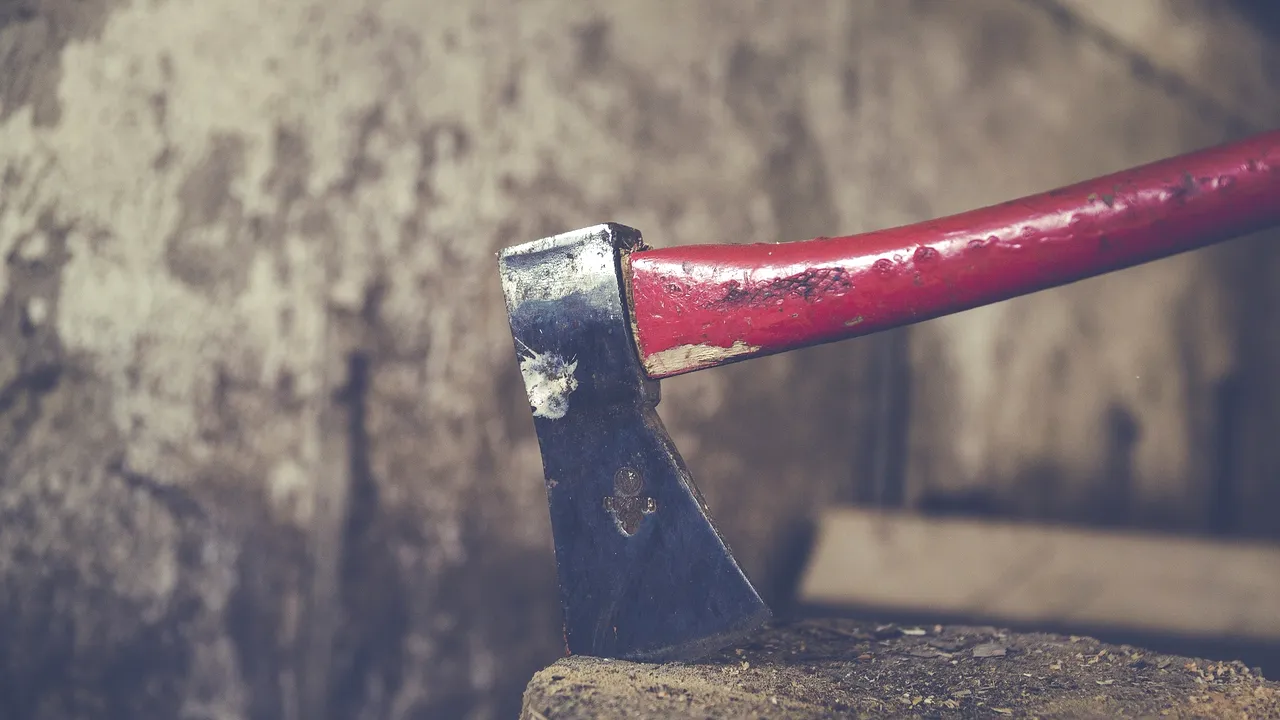 Caz şocant la Galaţi. Un tânăr de 16 ani este bănuit că şi-a omorât cu un topor bunica