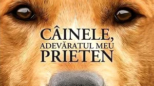 O carte pe zi: „Câinele, adevăratul meu prieten”, de W. Bruce Cameron