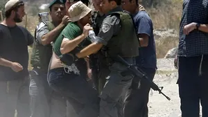 Colonişti israelieni incendiază zeci de măslini în Cisiordania