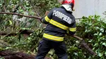 Cod portocaliu de vânt în București și Ilfov: 86 de intervenții ale pompierilor / Copac prăbușit pe un autoturism în mers pe Splaiul Unirii; o persoană rănită
