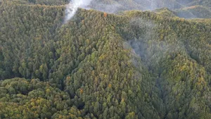 Incendii de vegetație în Caraș-Severin și Vâlcea. Autoritățile au intervenit cu elicoptere Black Hawk și avioane Spartan
