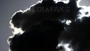 Ce impact are aerul poluat asupra plămânilor?