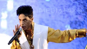 Casete audio, cătuşe de aur şi porţelanuri de nuntă aparţinând lui Prince vor fi scoase la licitaţie - GALERIE FOTO 