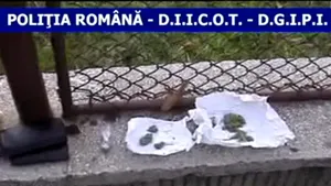 Mehedinţi: Patru persoane, reţinute pentru trafic de droguri şi deţinere de arme şi muniţie