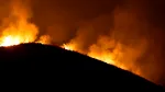 Franța: Incendiul de la Fontainebleau se extinde. Peste 800 de pompieri încearcă să stingă flăcările