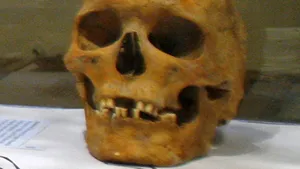 Craniu găsit într-o sacoşă lângă un pârâu din judeţul Buzău