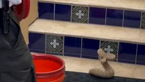 Cum este capturat un şarpe cu clopoţei veninos şi nervos? Video viral