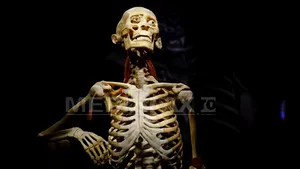 Bilete pentru acces rapid, în weekend, la expoziţia 