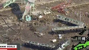 Cutremure uriaşe ca cel din Japonia se pot produce şi în alte zone