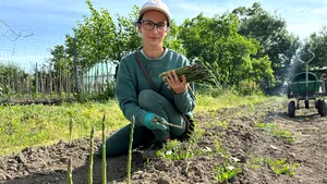 Cum a transformat o antreprenoare din România cultivarea sparanghelului într-o afacere de succes