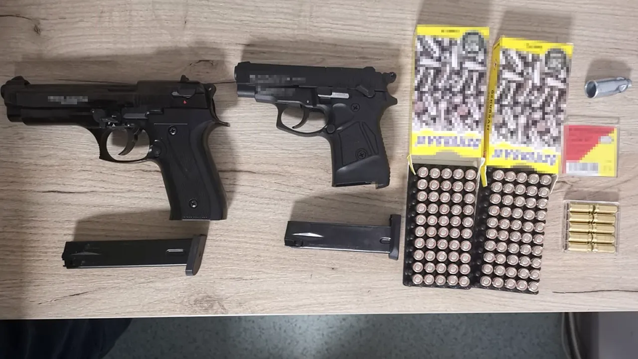 Pistoale şi peste 100 de cartuşe, descoperite de poliţiştii de frontieră