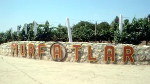 Dosarul Murfatlar a fost trimis în judecată: prejudiciu de peste 47,5 milioane de euro