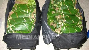 CAPTURĂ de droguri, pe Aeroportul Otopeni: 36 kilograme de 