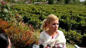 Udrea: Cea mai mare evaziune din turism o fac proprietarii de pensiuni din mediul rural