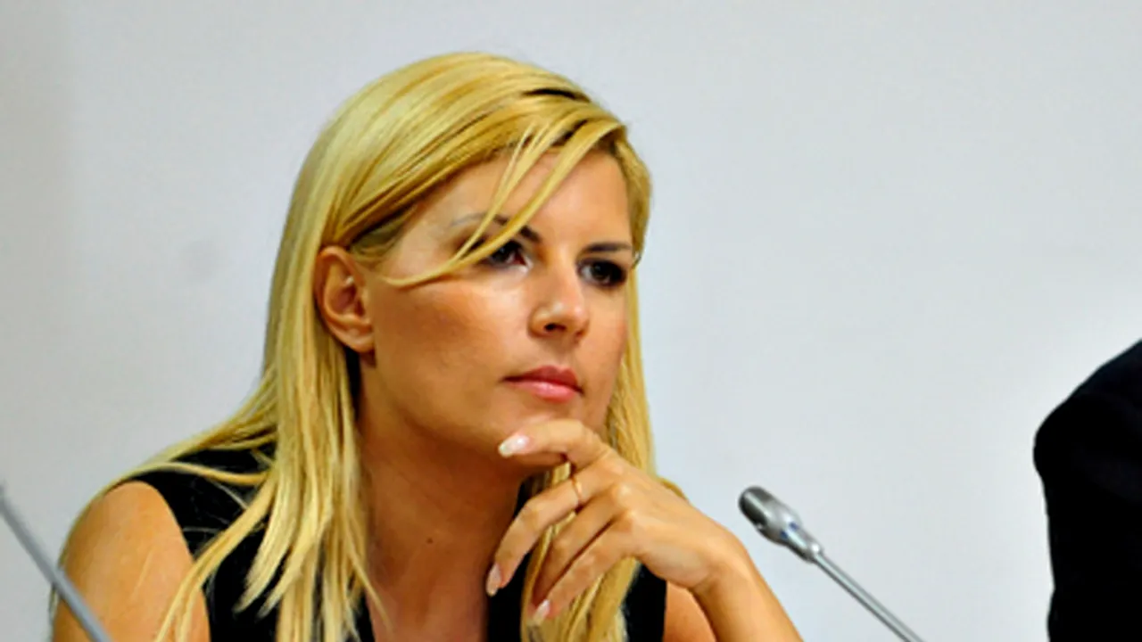 Elena Udrea: Ne aşteptăm să vindem în acest an 22.000 de locuinţe ANL