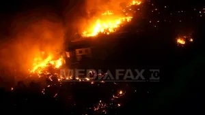 Incendiu de pădure violent în apropiere de Ierusalim