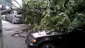 Copaci căzuţi pe carosabil, curţi inundate şi o maşină blocată în apă, după vijeliile din Bucureşti şi Ilfov