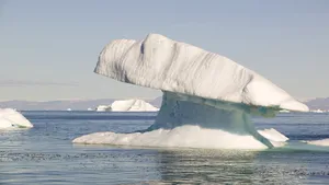 Topirea gheţurilor şi retragerea gheţarilor au scos la iveală surprizele din Antarctica: ce au descoperit cercetătorii