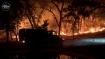 Incendiile din California devastează podgoriile din Napa Valley