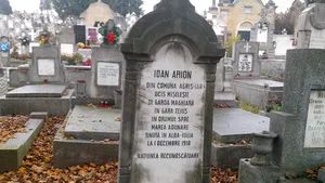 REPORTAJ: Uciderea lui Ion Arion, 