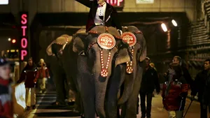 Un circ renumit din Statele Unite va renunţa la spectacolele sale cu elefanţi până în anul 2018