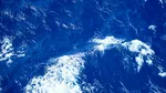 Astronomii au identificat posibile „planete-ocean” – lumile fără uscat sunt la doar 100 de ani-lumină de Pământ