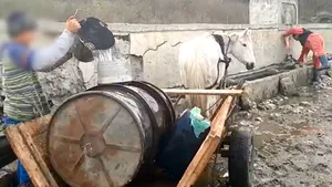 Reportaj din comuna Independenţa, unde românii trăiesc datorită unei cişmele construite de otomani. A fost condusă 30 de ani de acelaşi primar