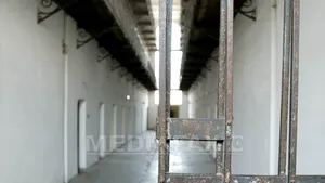 CAUZELE morţii românului BĂTUT de poliţişti în Ungaria