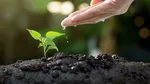 Ziua Mondială a Mediului, celebrată joi. Ediția de anul acesta îndeamnă la combaterea poluării cu plastic
