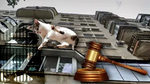 O prahoveancă a fost condamnată la 1 an și 5 luni de închisoare după ce și-a aruncat pisica de la etajul 3. De altfel, instanța a dispus internarea femeii la Psihiatrie