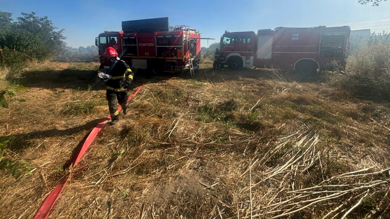 Incendiu violent de vegetație uscată în județul Dolj. Focul s-a extins la o casă și o anexă