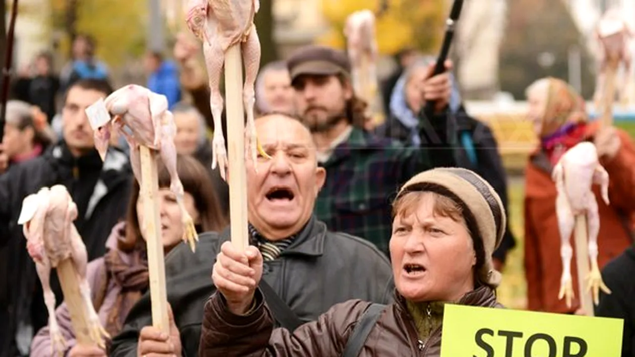 Sute de persoane au protestat în Ucraina faţă de exploatarea gazelor de şist de către Chevron