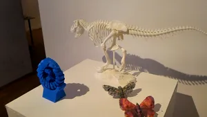 FOTO Expoziţie în premieră la Cluj: Castelul Bran, un exoschelet de dinozaur şi proteze printate în 3D
