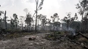 Guvernul Braziliei anunţă că defrişările din Amazon au scăzut semnificativ în prima jumătate a anului 2023