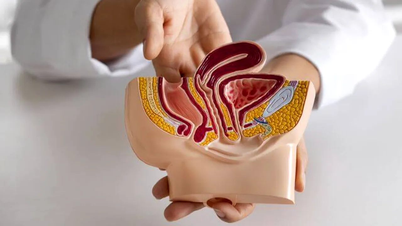 Un nou test AI poate reduce riscul de deces din cauza cancerului de prostată